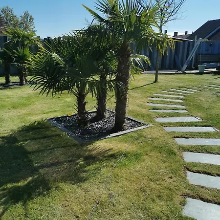 Dans Avec Piscine ゲストハウス